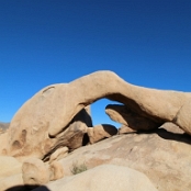 Joshua Tree NP 11